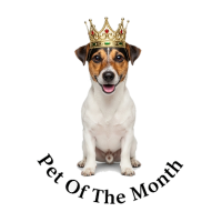 a pet of the month award